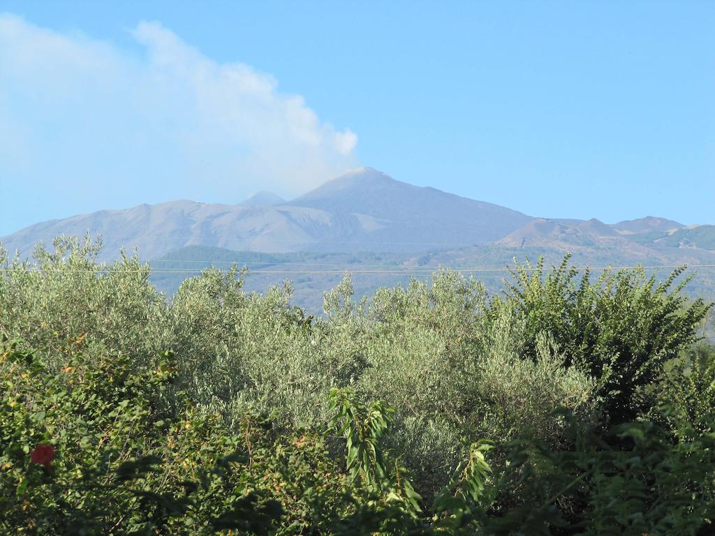 Villa Vecchio Castiglione De Sicilia Oda fotoğraf