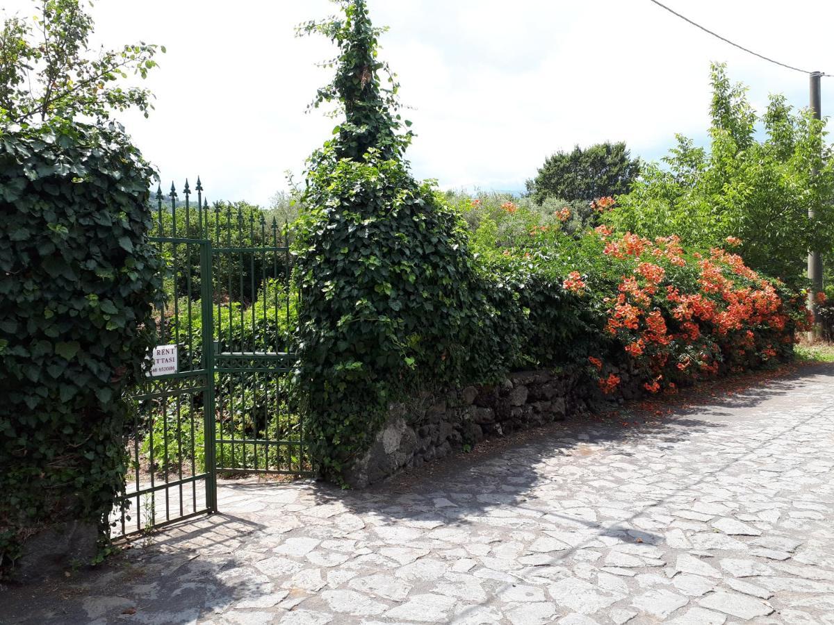 Villa Vecchio Castiglione De Sicilia Dış mekan fotoğraf